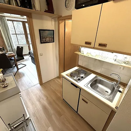 Apartment Gemütliches Im Bayerischen Wald Netflix Pool Sauna Wifi Zwiesel